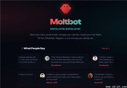 开源AI项目Clawdbot被迫更名Moltbot，旧账号遭抢注引发发币骗局