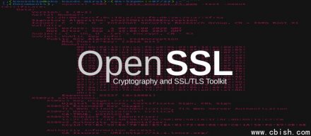 OpenSSL修复高风险CMS解析栈溢出漏洞，可能导致DoS甚至引发RCE
