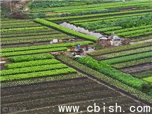 全球首个梨与大豆AI大模型“棃想”“丰菽”在合肥发布