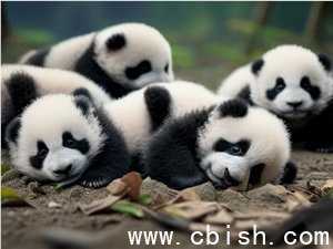 中国首部AI动画电影《团圆令》定档：以赠台大熊猫为原型，演绎两岸亲情