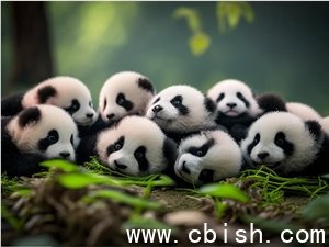 中国首部AIGC动画电影《团圆令》将于2月28日全国上映，5-6个月完成制作