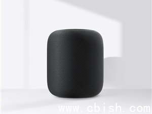 OpenAI将推AI音箱，前苹果设计总监操刀，定价约300美元