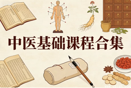 中医基础课程全集