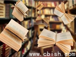 AI 48小时写就500万字：重塑网文生态的“文学平替”