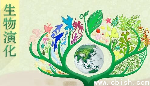 北京大学《生物演化》-