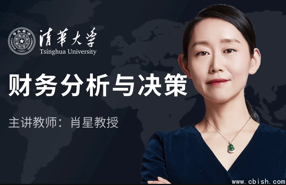 财务分析与决策培训视频教程-