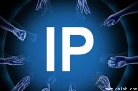 打造专业IP的实战指南