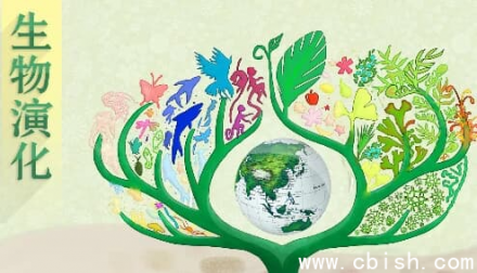 北京大学《生物演化》课程讲义