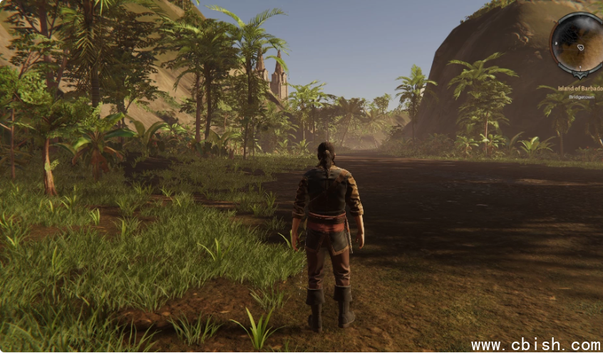 《Corsairs Legacy 海盗遗产》v0.3135 绿色中文版