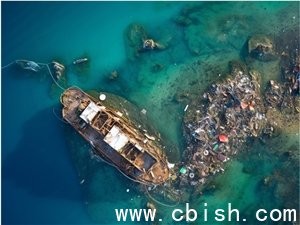 太平洋洲位标上线AI预警，智能护航危险水域