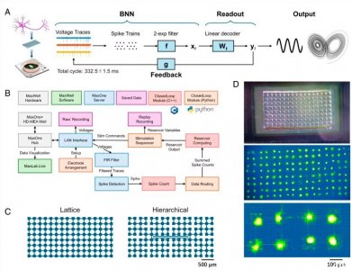 日本科学家用大鼠神经元实现实时AI计算