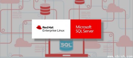 红帽支持RHEL运行SQL Server 2025集成Azure管理扩展，增强授权灵活性与可视化