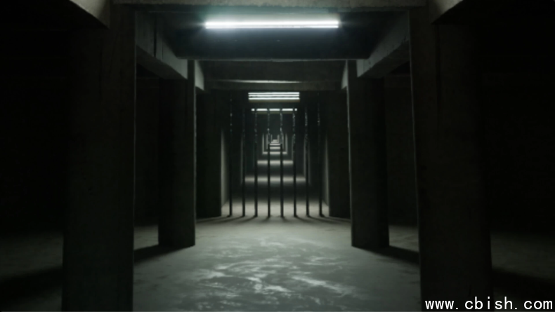 《Subliminal 忆蚀》Build.22579455 绿色中文版