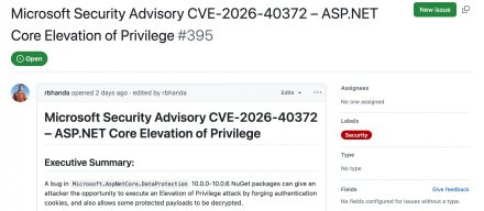 Web应用框架ASP.NET Core数据保护组件存在提权漏洞，受影响环境需升级并轮换密钥