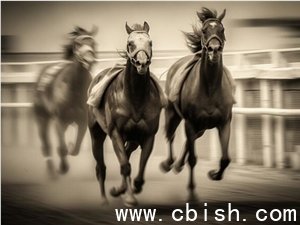 阿里“神马”HappyHorse爆火，中文在线紧急入局