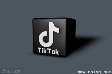 TikTok下架视频摘要AI功能，因频繁生成“蓝莓”等严重幻觉内容
