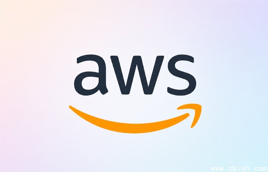 亚马逊，aws