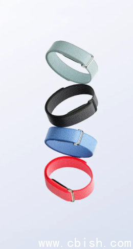 Fitbit Air 官方设计图纸