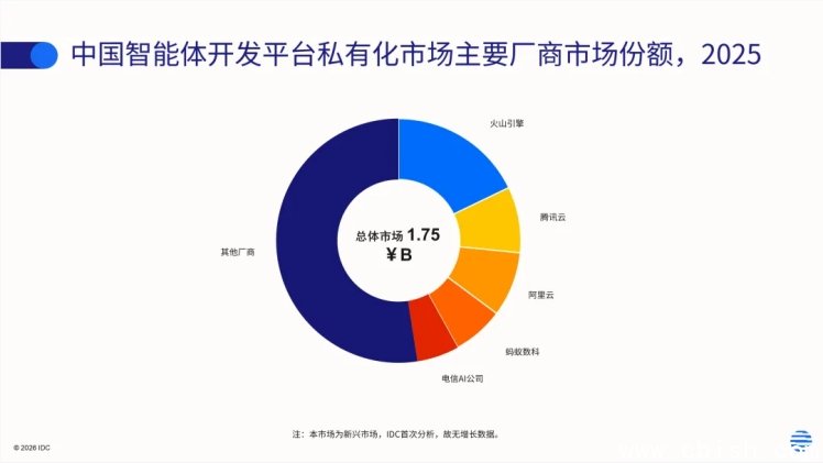 中国智能体开发平台私有化市场排名