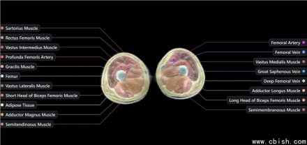Midjourney跨界人体扫描，打造Spa式健康体验