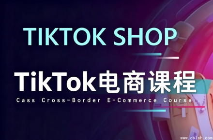 TikTok电商全攻略：TikTok Shop开店+短视频带货+直播运营三合一系统课