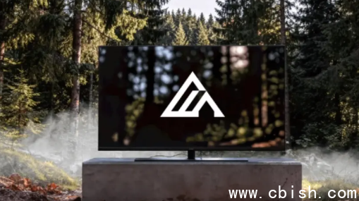 Flux3模型示意图