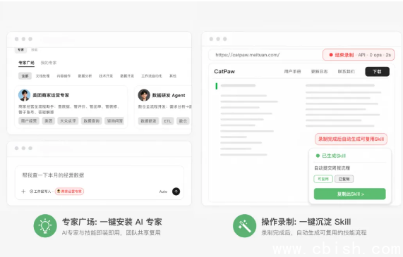 CatPaw 功能架构