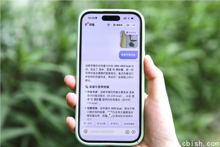 蚂蚁阿福AI拍饮食功能界面