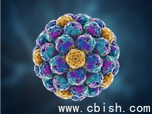 AI设计70万病毒基因组，16个在实验室验证成功：生成式生物学的突破与隐忧