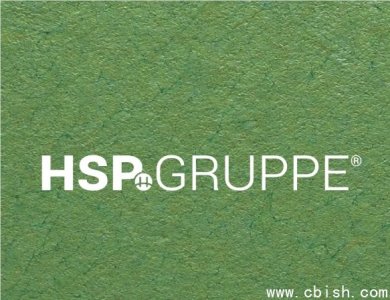 德国税务咨询公司HSP半年使用ChatGPT完成50万次对话，每年节省4万小时人工时间