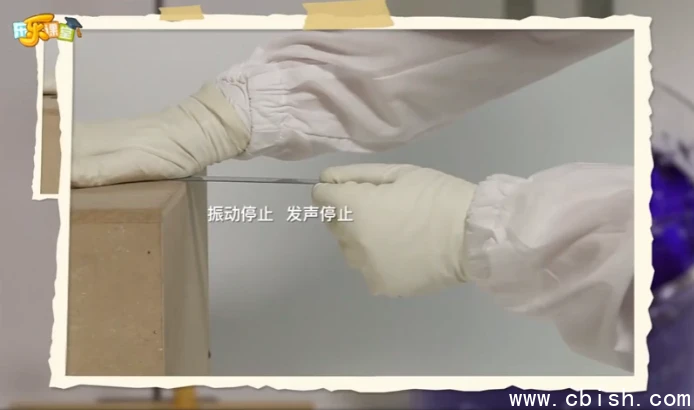 乐乐课堂 小小科学家