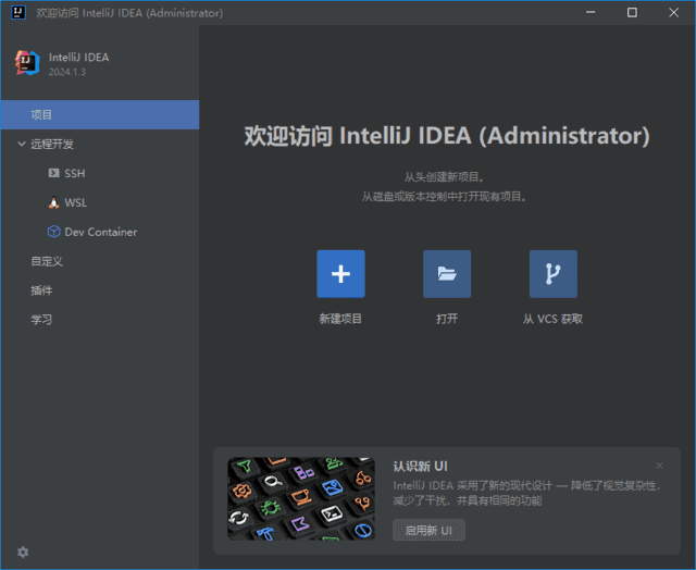 Jetbrains IntelliJ IDEA(Java集成开发环境) 2024.3 直装激活版