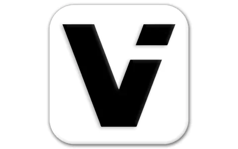 ViiTor 实时翻译 v2.2.1：免费高精度同声传译软件
