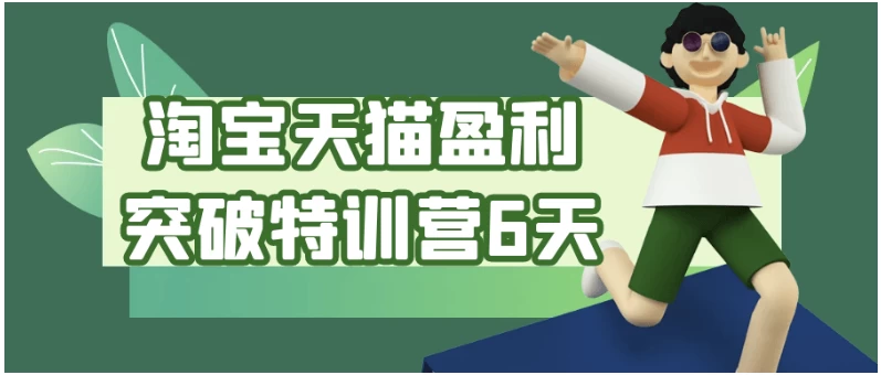 淘宝天猫6天盈利突破特训营