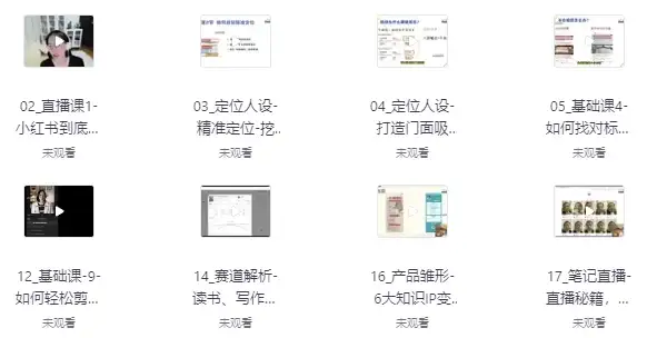 小红书流量变现全攻略：23节视频课教你轻松玩转平台运营