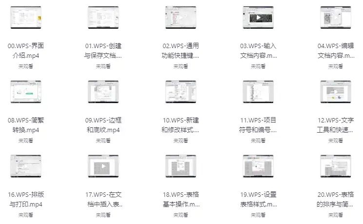 WPS全套教程合集：从零基础到精通，职场人士必备技能提升指南