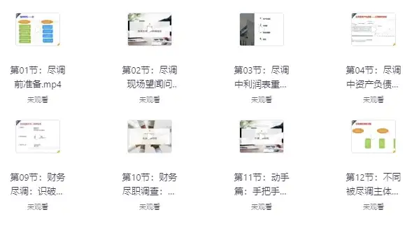 陆家嘴学堂·财务尽职调查基础与实务