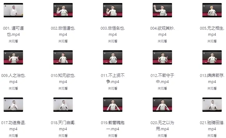 虚空济：《道德经》第九十五讲精解