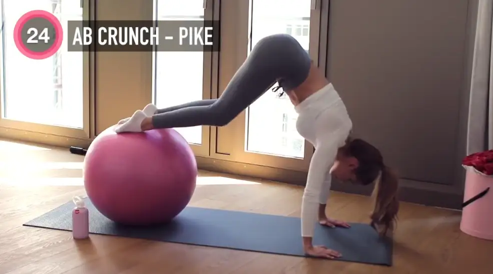 《新帕梅拉健身全集：全方位塑形与减脂训练课程合集》