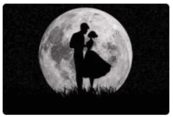 恋爱精品课：表白艺术全攻略