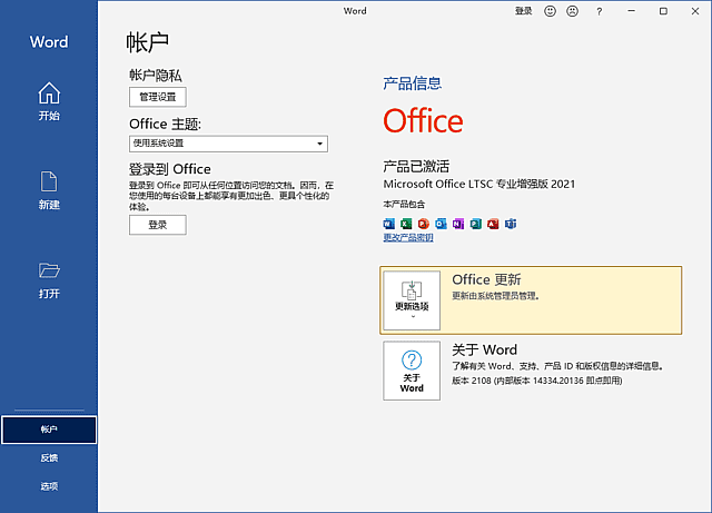 Office 2021 界面示意图