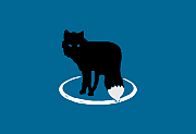 MetaFox v2.6.2.1 便携版 轻量级视频转换软件下载