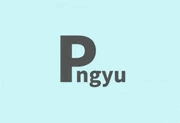 PNGyu v1.0.5 中文绿色版：批量压缩PNG图像工具