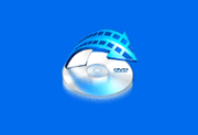 WonderFox DVD视频转换器 v31.5 多语言便携版