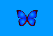 bkViewer v8.6 中文绿色版：小巧精悍数码照片浏览器下载