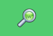 dnGrep v4.6.110.0 中文绿色版（文件搜索工具）