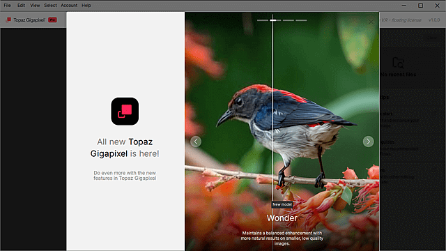 Topaz Gigapixel 软件界面截图