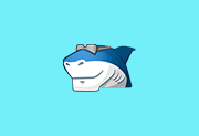 Shark007 Codecs v20.6.7 便携版